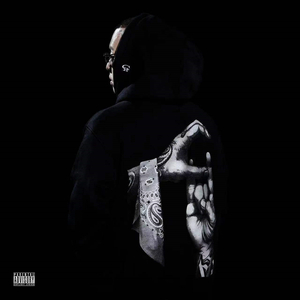 国产语音成人影院
