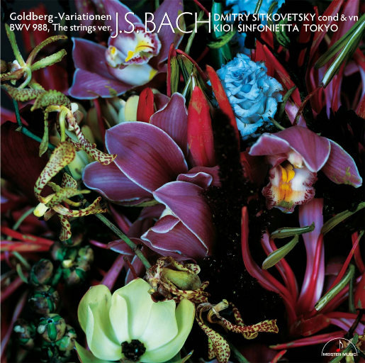 国产语音成人影院
